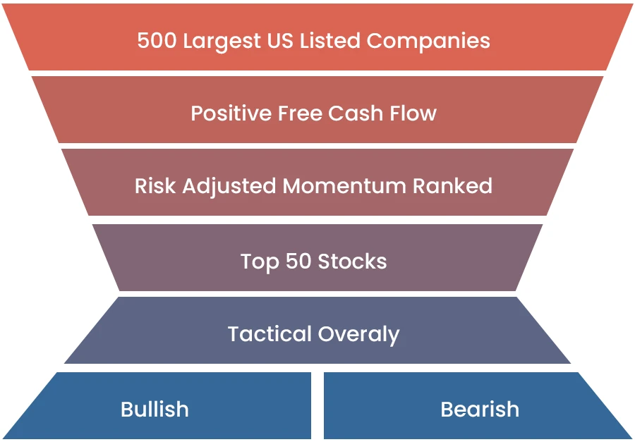 Momentum Index Selection Process